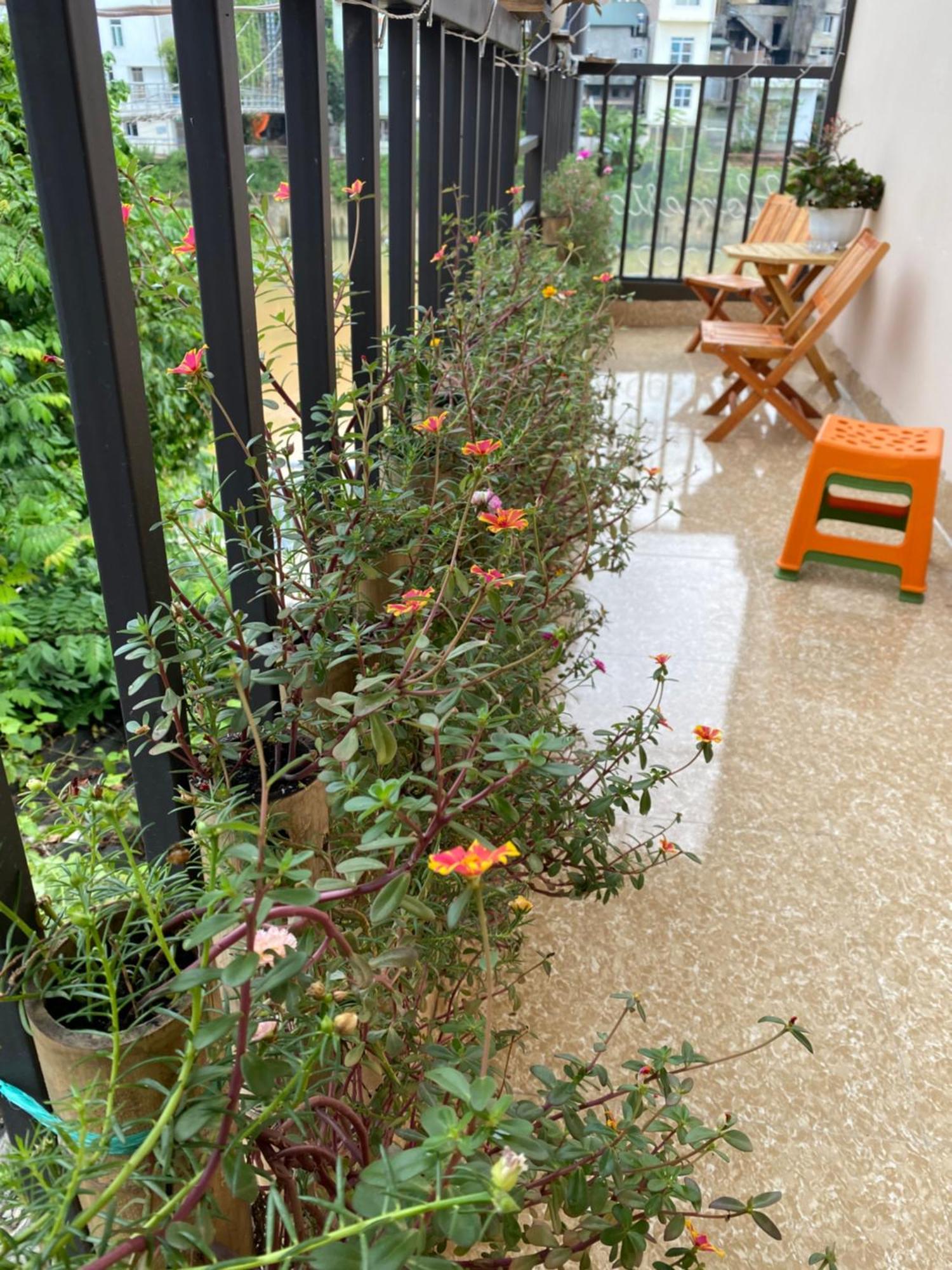 Dh Homestay Cao Bang Ngoại thất bức ảnh